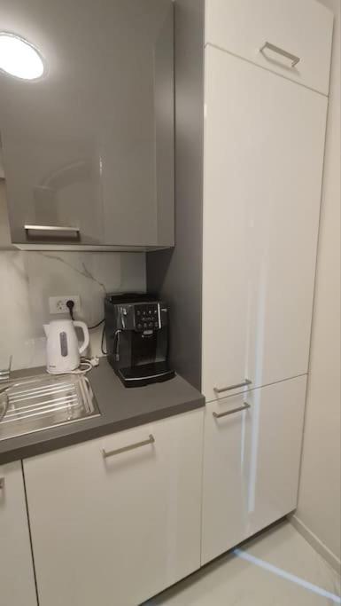 Mias Luxury Apartment Rijeka Exteriör bild
